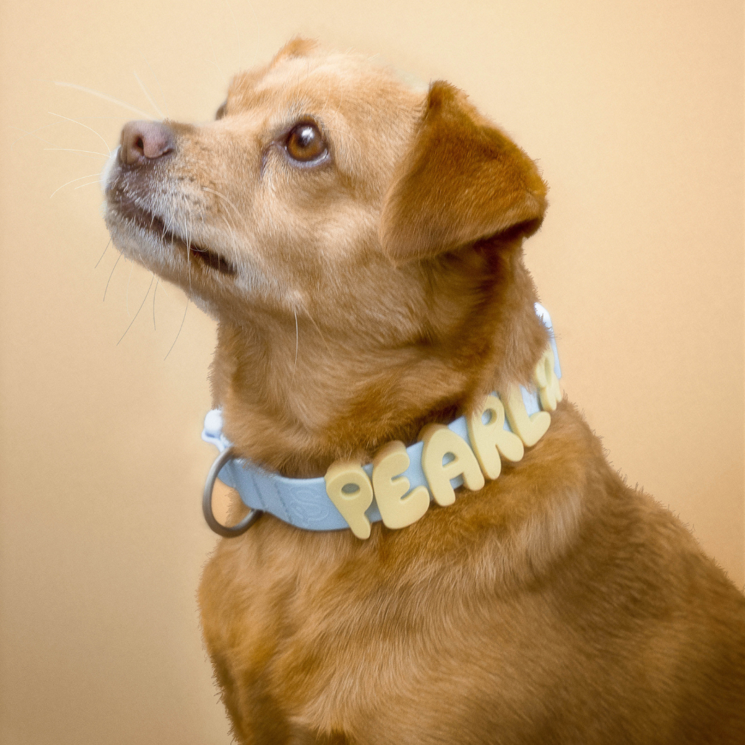 Waterproof Dog Collar product image 35