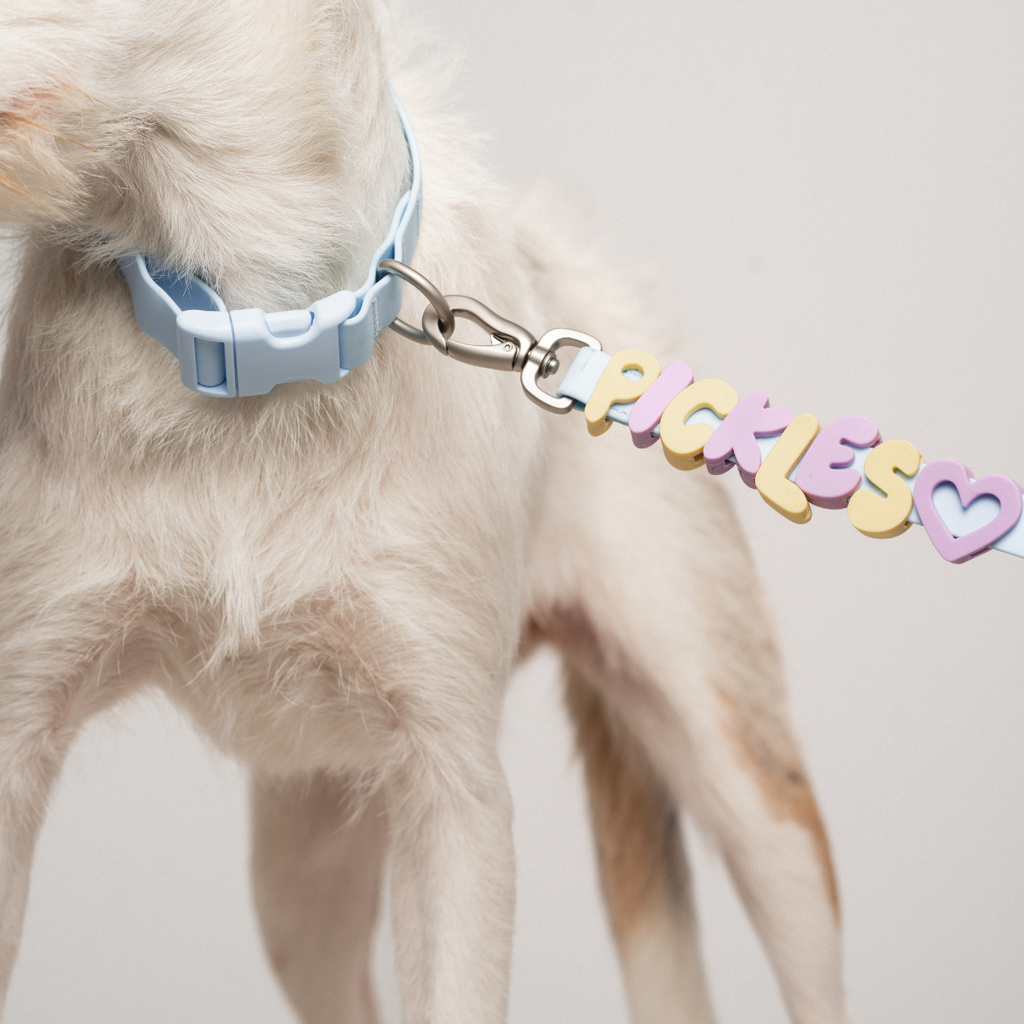 Waterproof Dog Collar product image 37