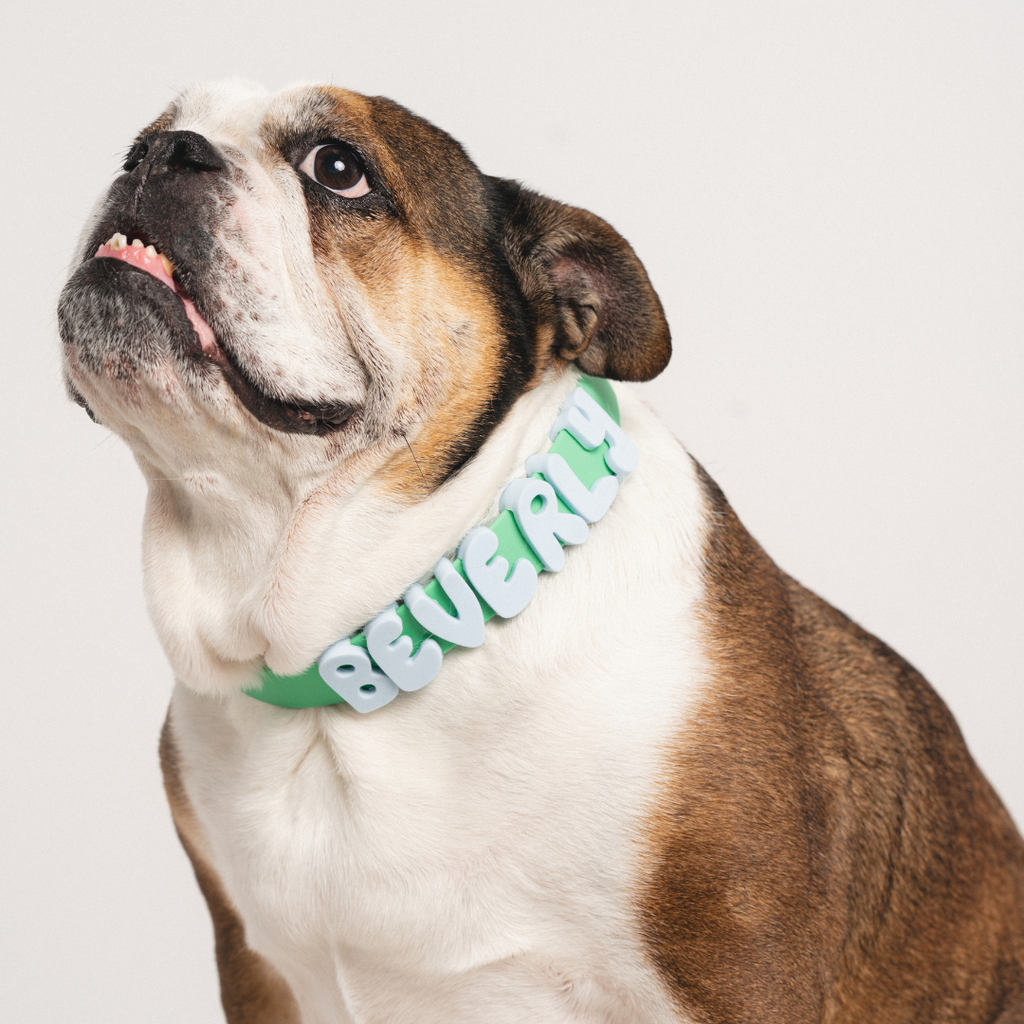 Waterproof Dog Collar product image 47