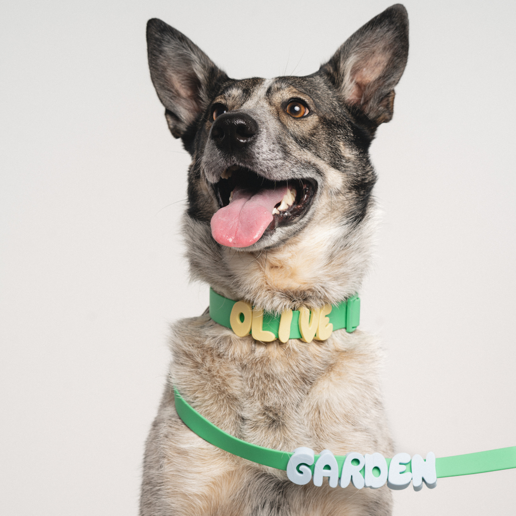 Waterproof Dog Collar product image 49