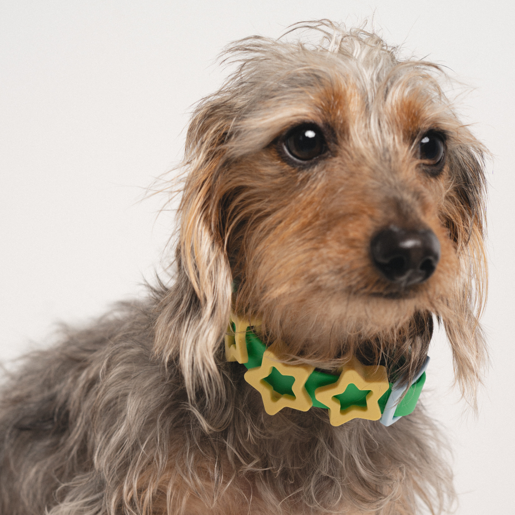 Waterproof Dog Collar product image 52