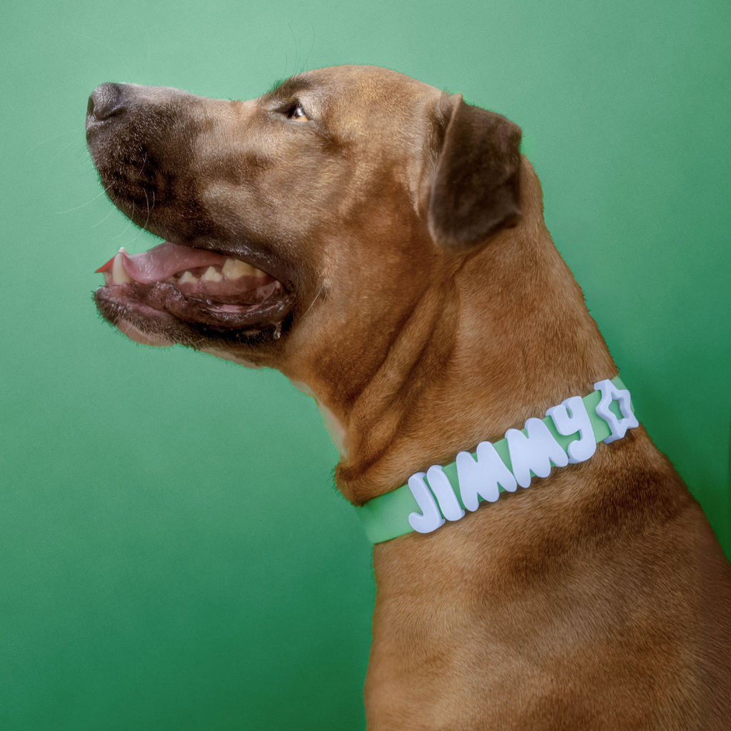 Waterproof Dog Collar product image 53