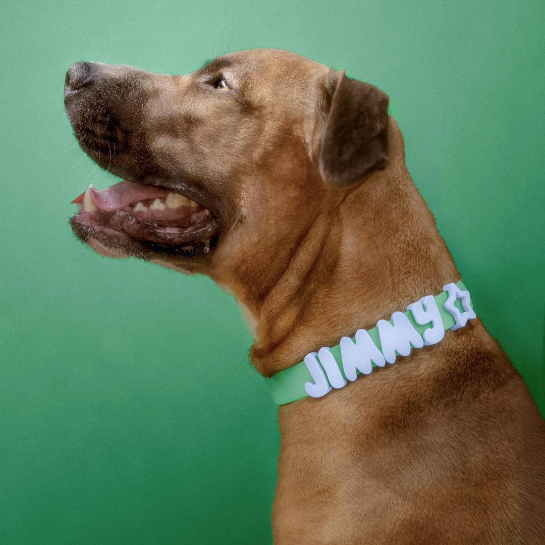 Waterproof Dog Collar product image 53
