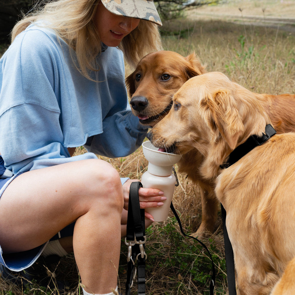 Waterproof Dog Collar product image 57