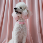 Waterproof Dog Collar product image 60