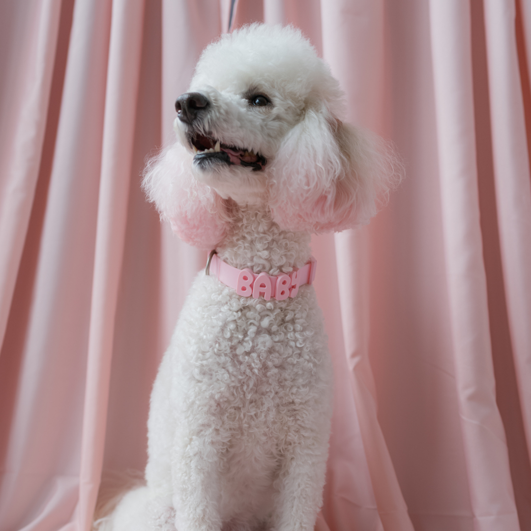 Waterproof Dog Collar product image 60