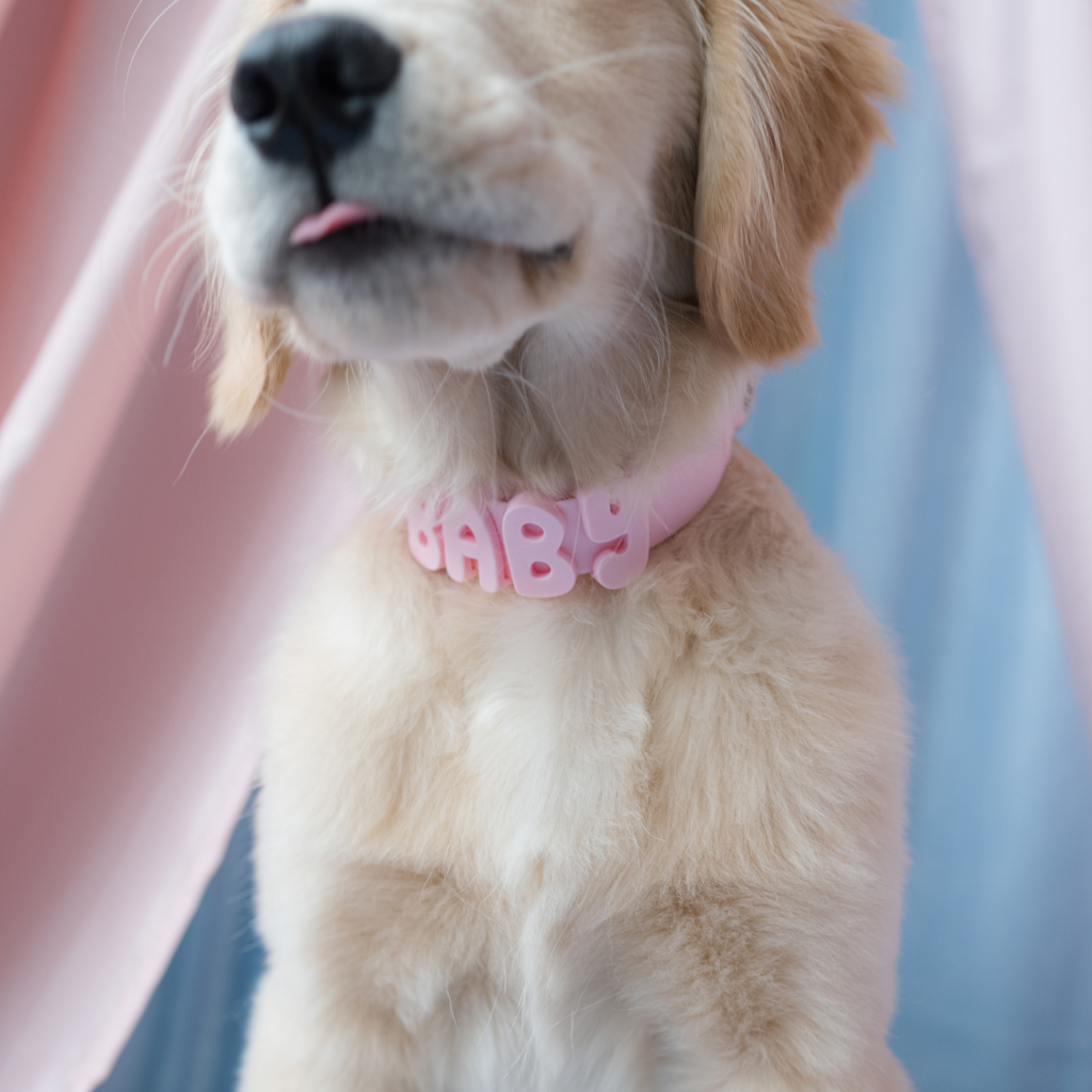 Waterproof Dog Collar product image 61