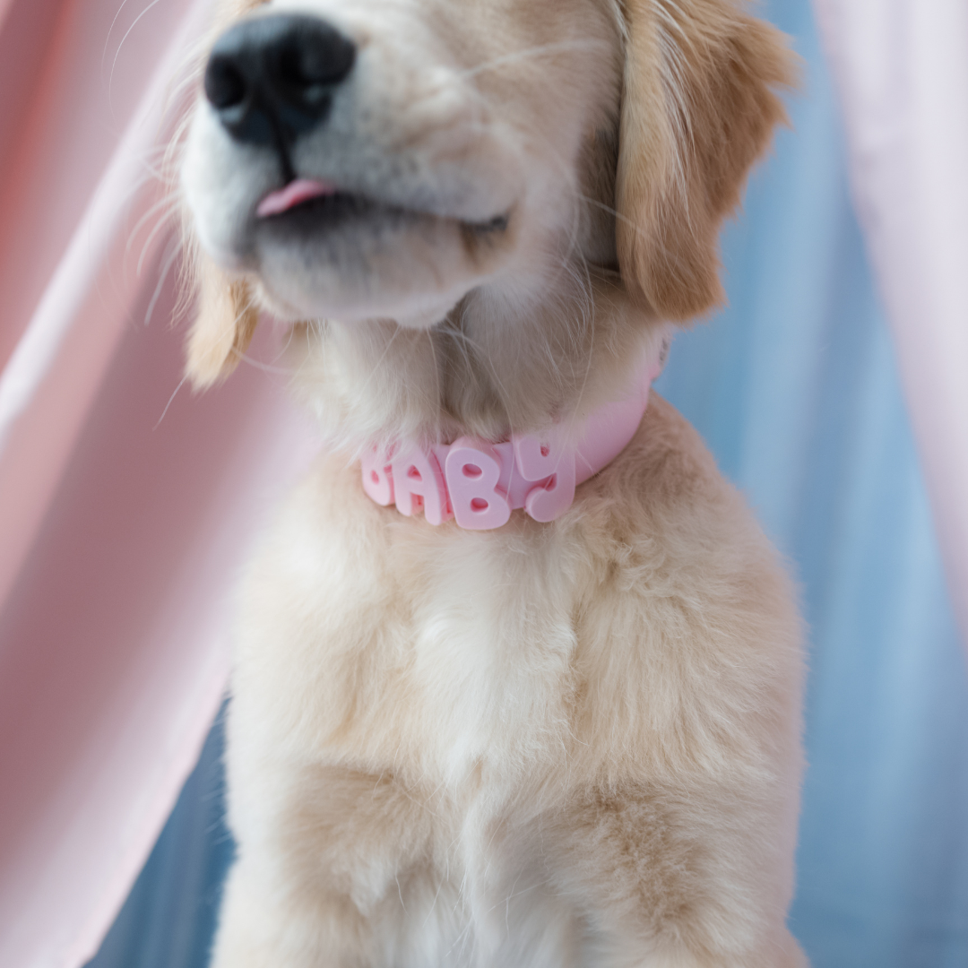 Waterproof Dog Collar product image 61