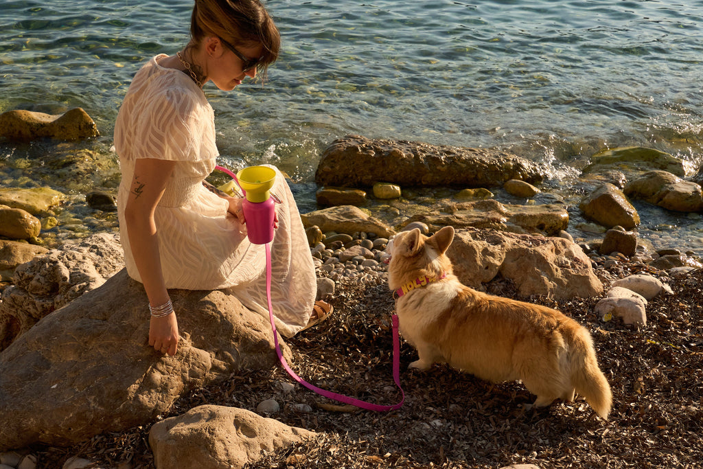 Waterproof Dog Collar product image 71