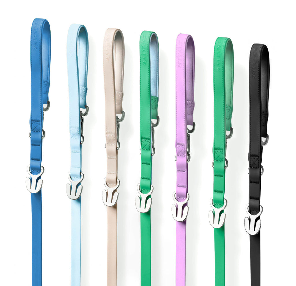 Dog Leash product image 1