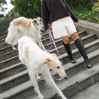 Dog Leash product image 3