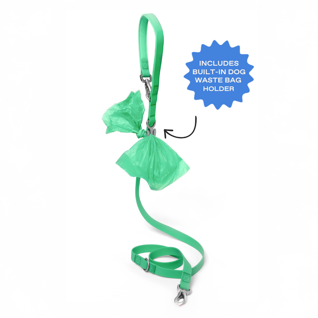 Dog Leash product image 5