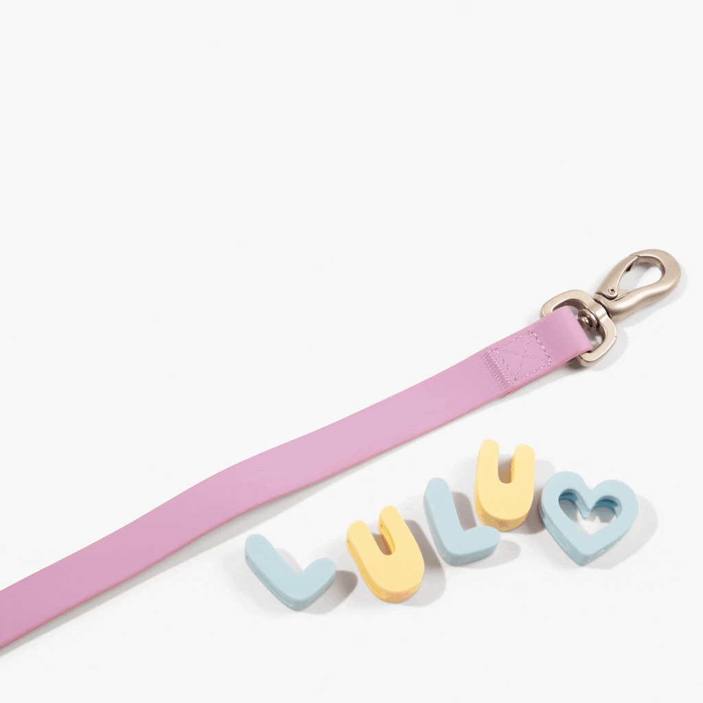 Dog Leash product image 8