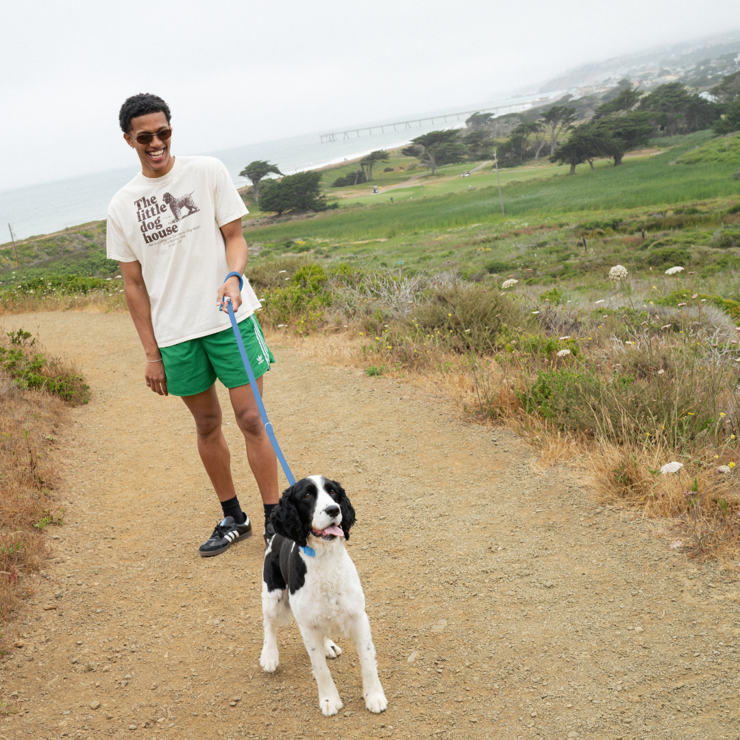 Dog Leash product image 15