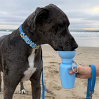 Dog Leash product image 16