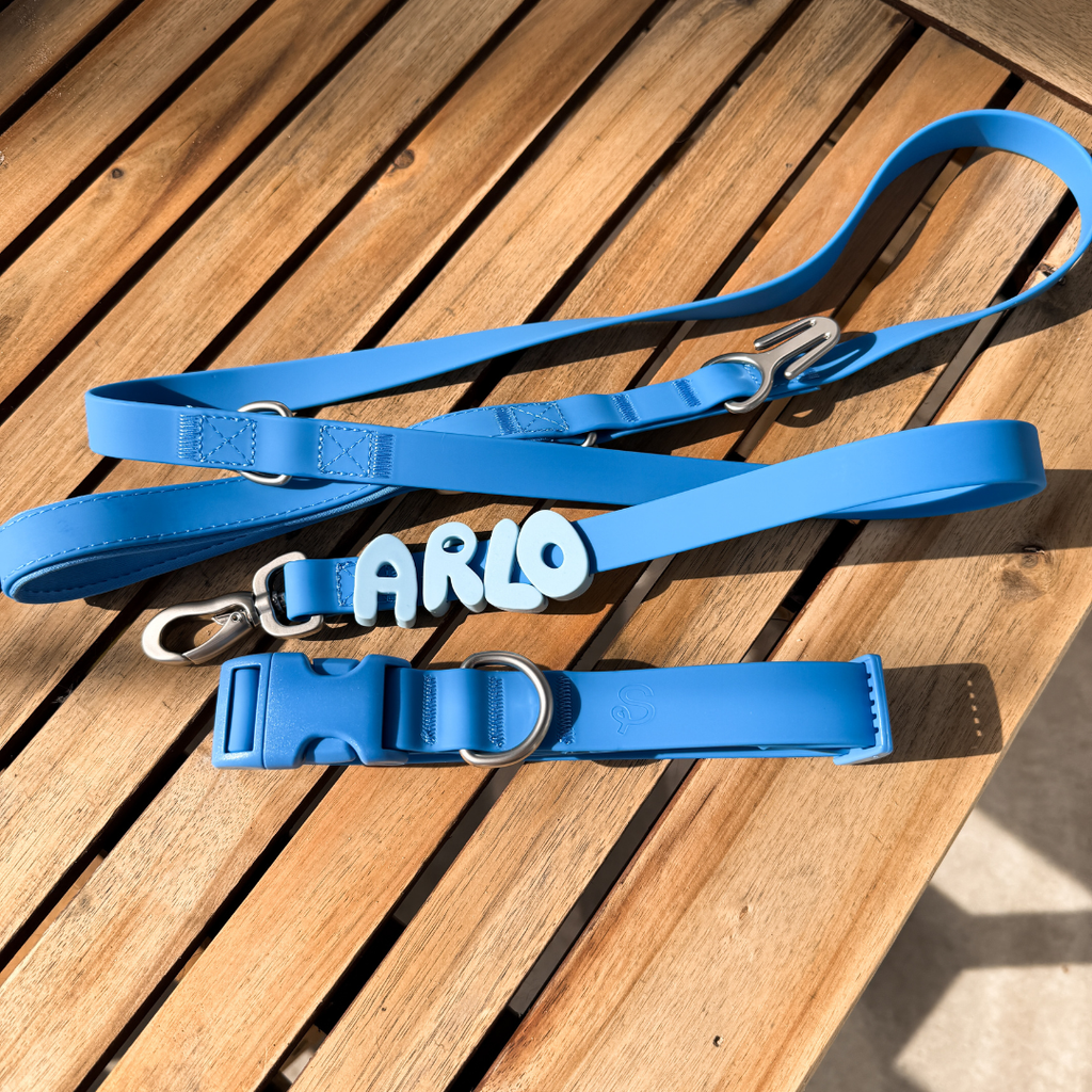Dog Leash product image 17