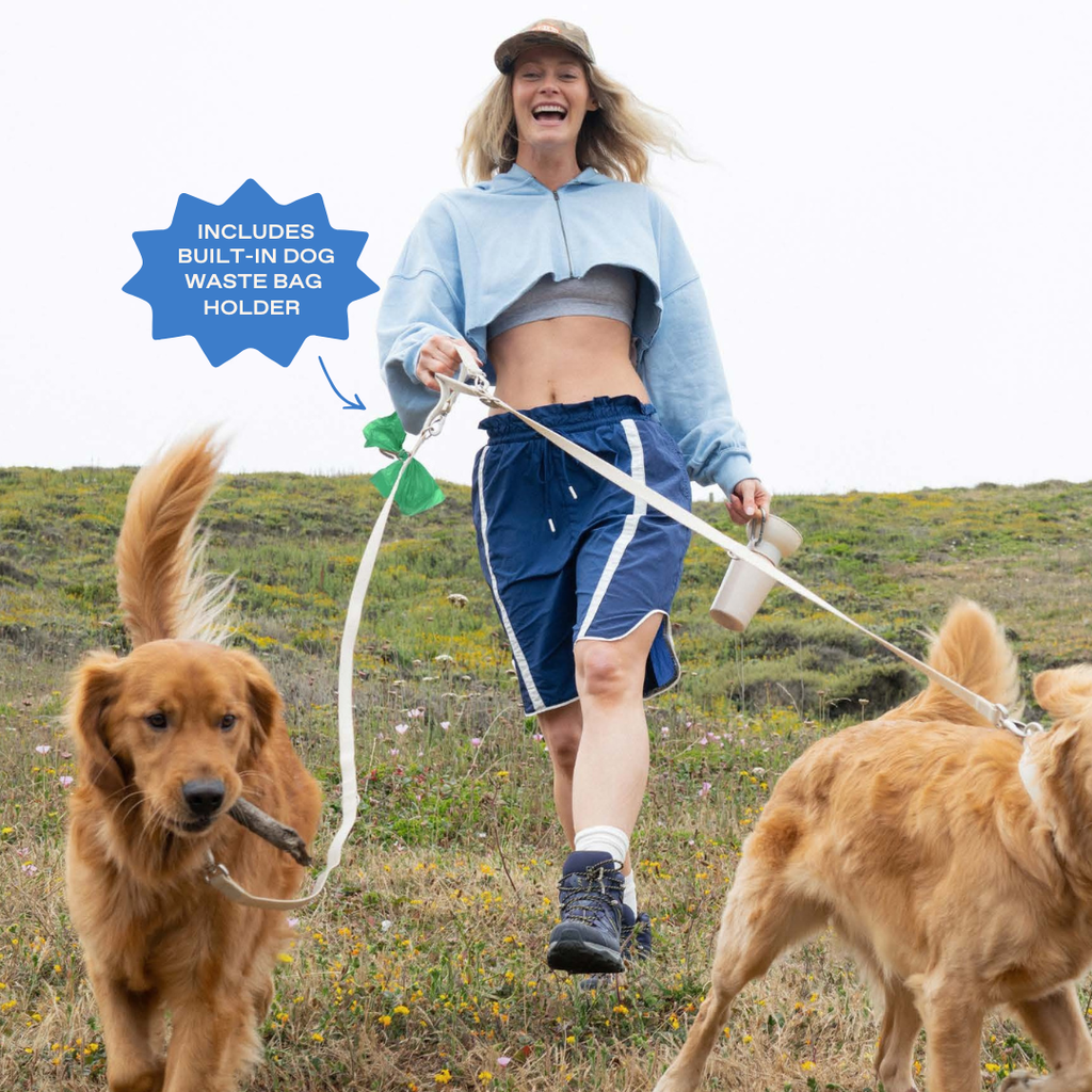 Dog Leash product image 19