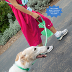 Dog Leash product image 27