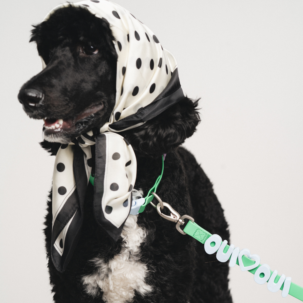 Dog Leash product image 28