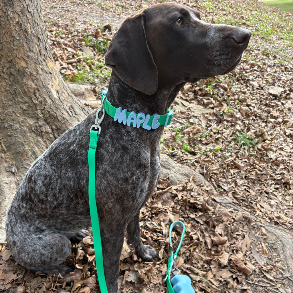 Dog Leash product image 34