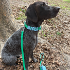 Dog Leash product image 34