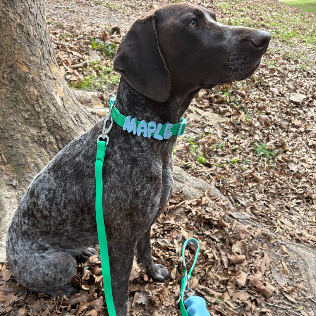 Dog Leash product image 34