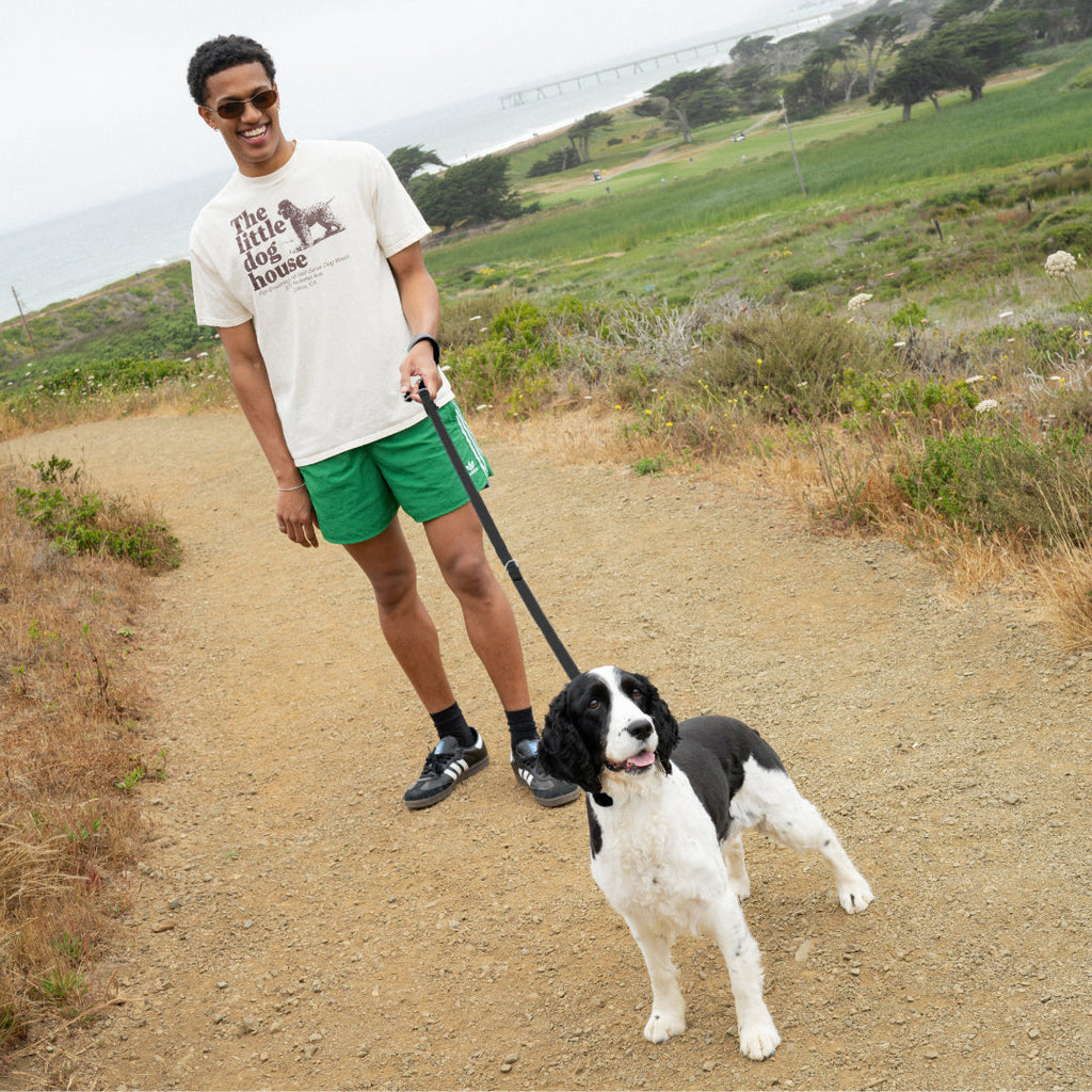 Dog Leash product image 36
