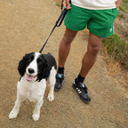Dog Leash product image 37