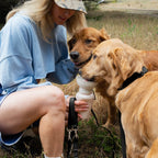 Dog Leash product image 39