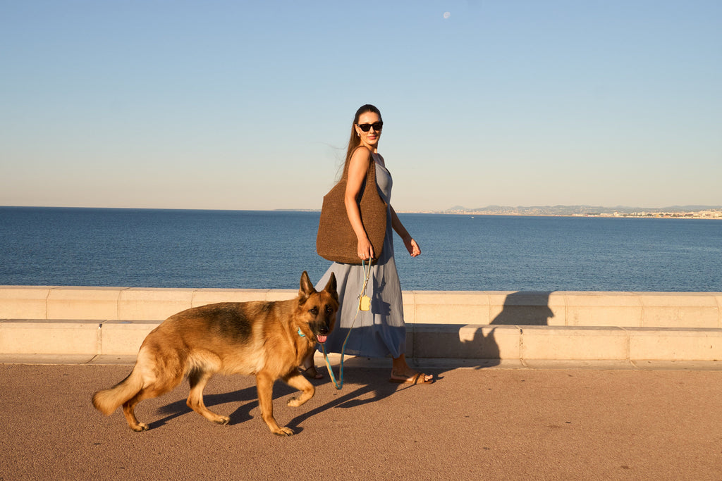 Dog Leash product image 48