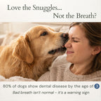 Dog Dental Powder product image 2