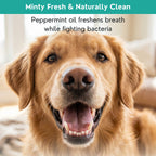 Dog Dental Powder product image 7