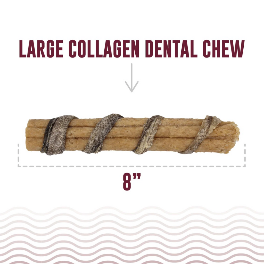 Dog Dental Chew product image 2