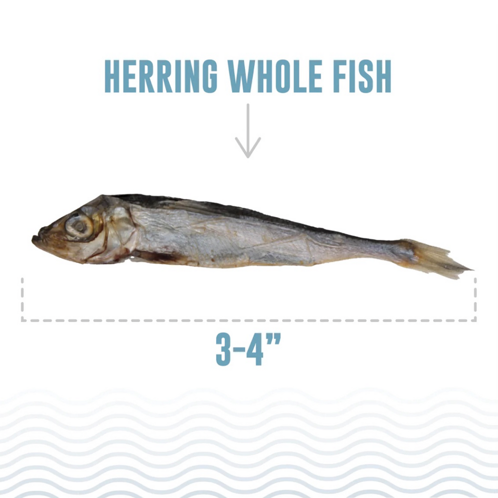 Whole Fish Dog Treats product image 2