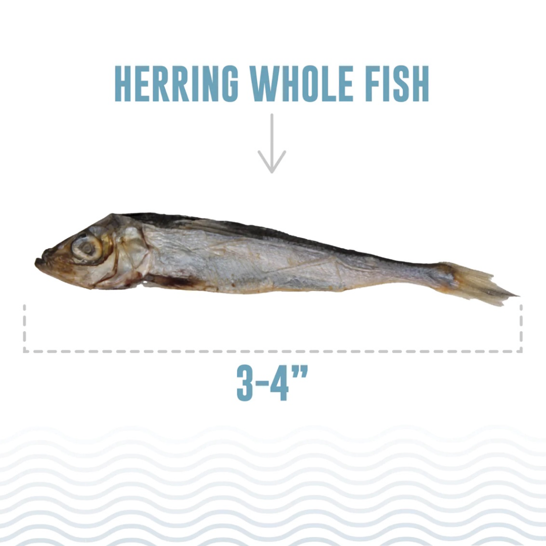 Whole Fish Dog Treats product image 2