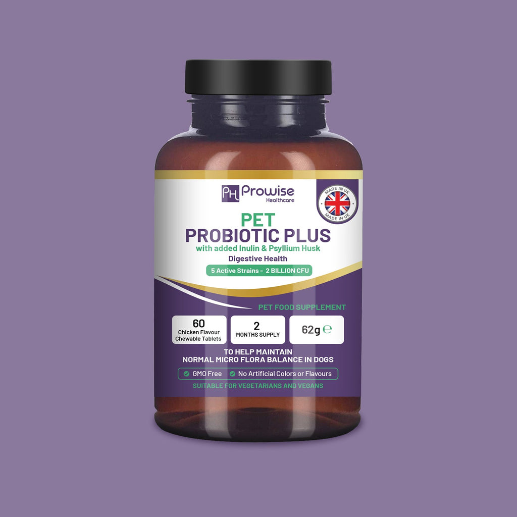 Dog Probiotic Supplement product image 1