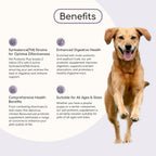 Dog Probiotic Supplement product image 2