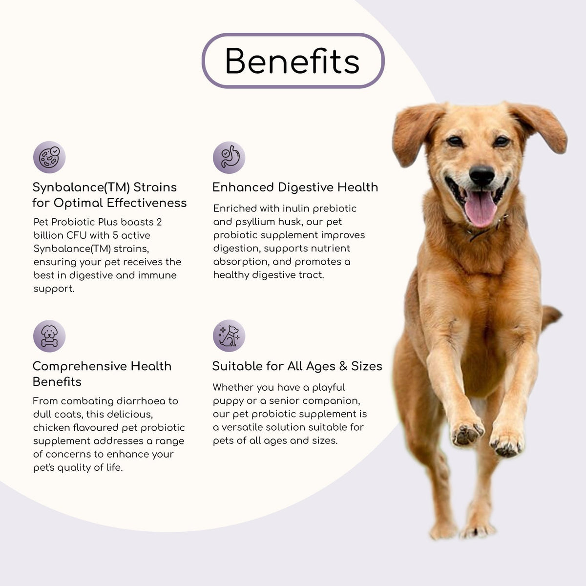 Dog Probiotic Supplement product image 2