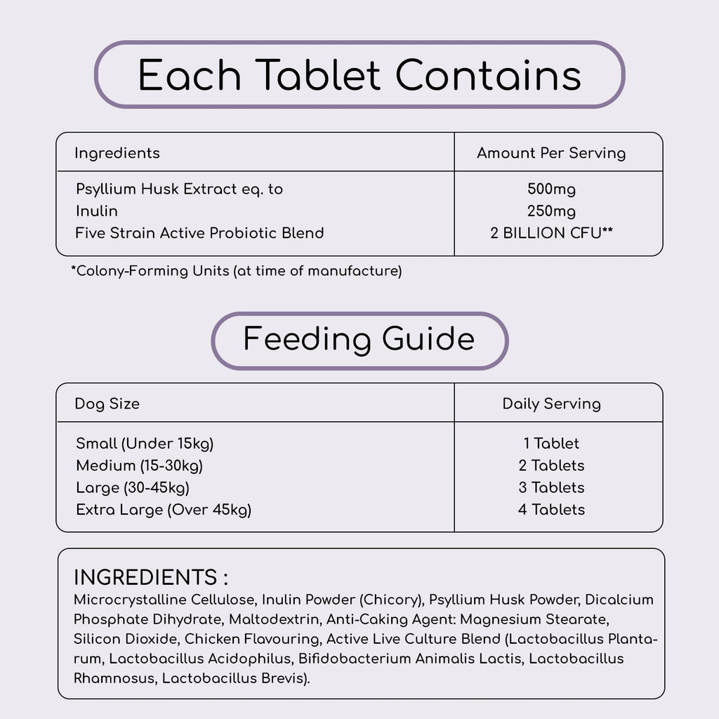 Dog Probiotic Supplement product image 3