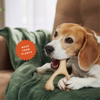 Dog Chew Toy product image 7