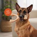 Dog Toys product image 7