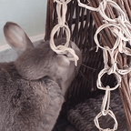 Rabbit Chew Toys product image 6