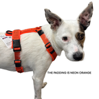 Dog Harness product image 3