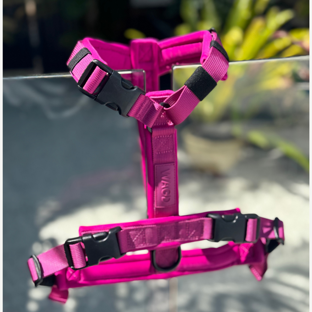 Dog Harness product image 7