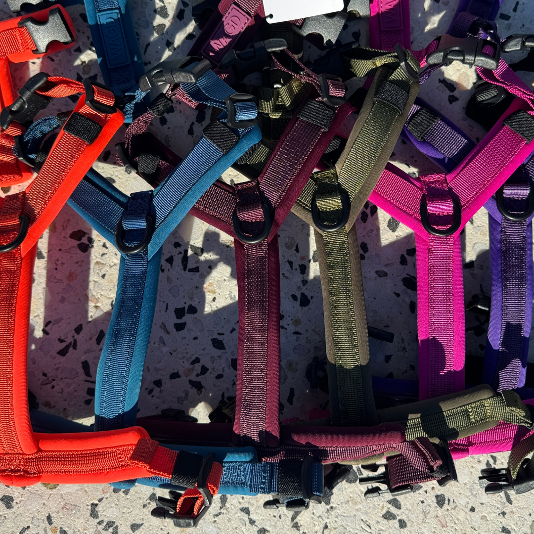 Dog Harness product image 13