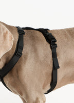 Dog Harness product image 14
