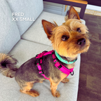 Dog Harness product image 17