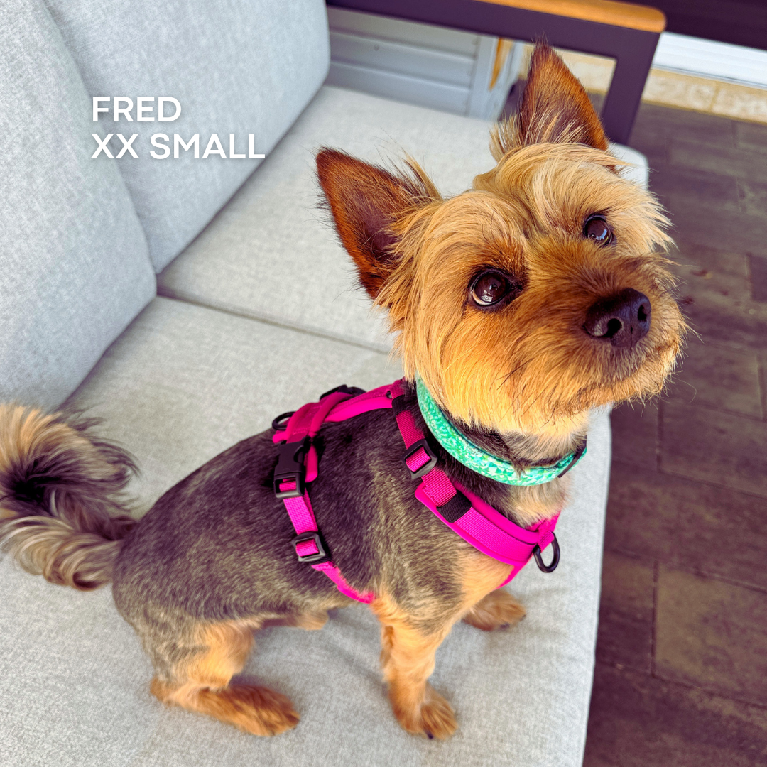 Dog Harness product image 17