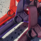 Dog Harness product image 29