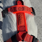 Dog Harness product image 33